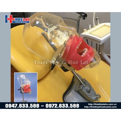 Mô hình thực hành nha khoa